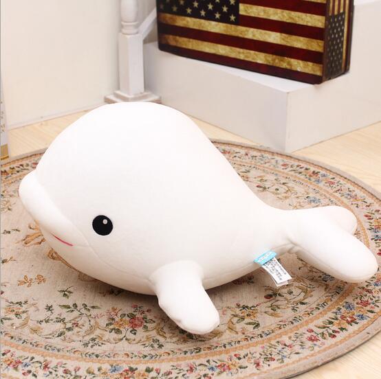 baleine-albinos