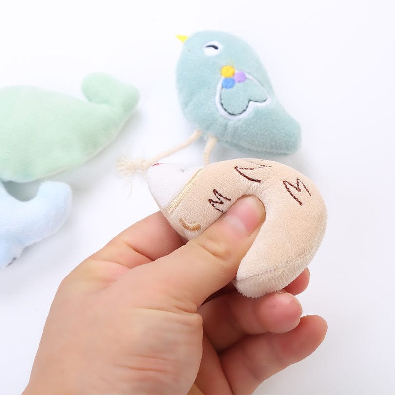 mini-baleine