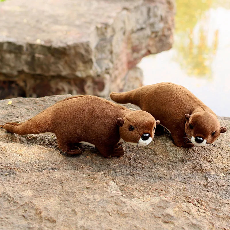 loutre-pas-cher