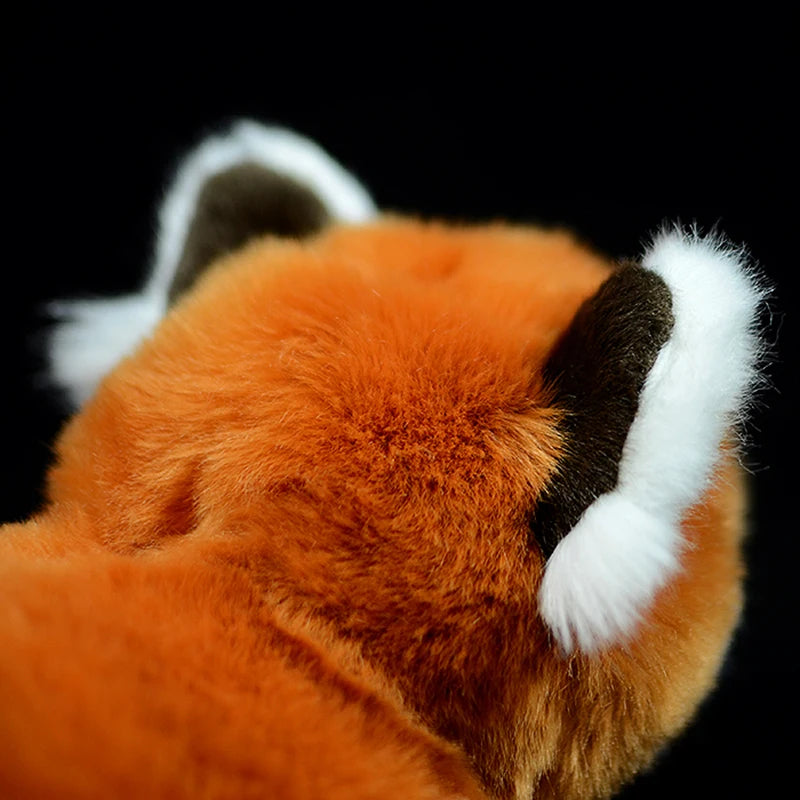 nounours-panda-roux