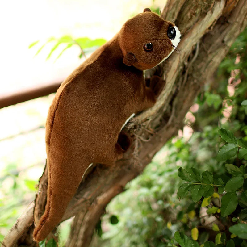 peluche-loutre-pas-cher