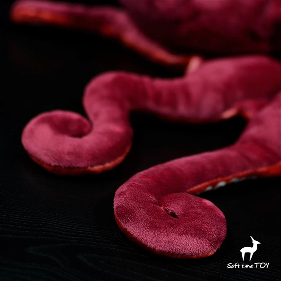 Pieuvre-Rouge