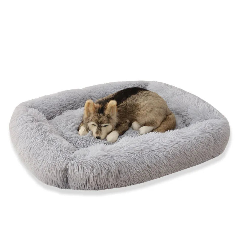 panier-pour-chien