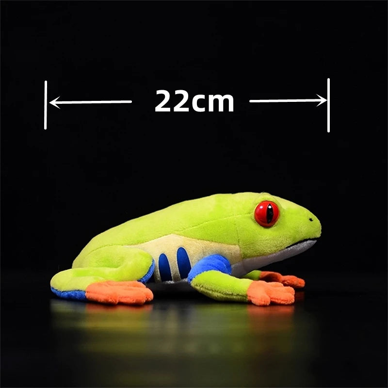 grenouille-verte