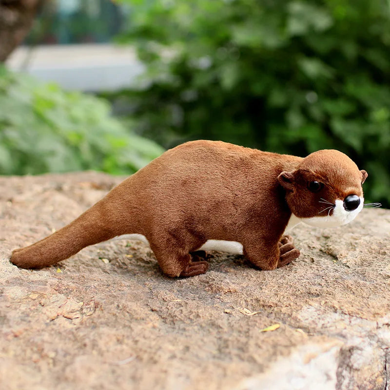 loutre