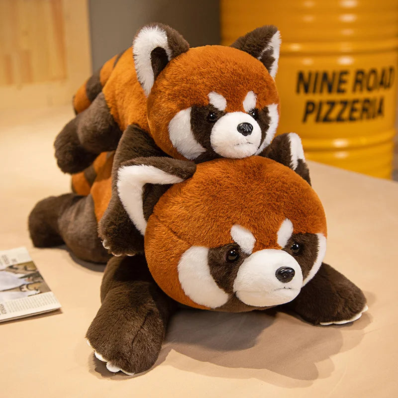 panda-roux-70-cm