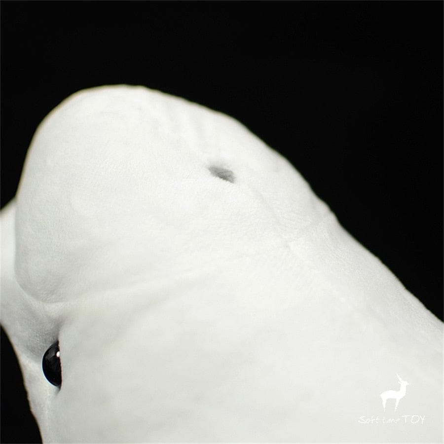 nounours-baleine