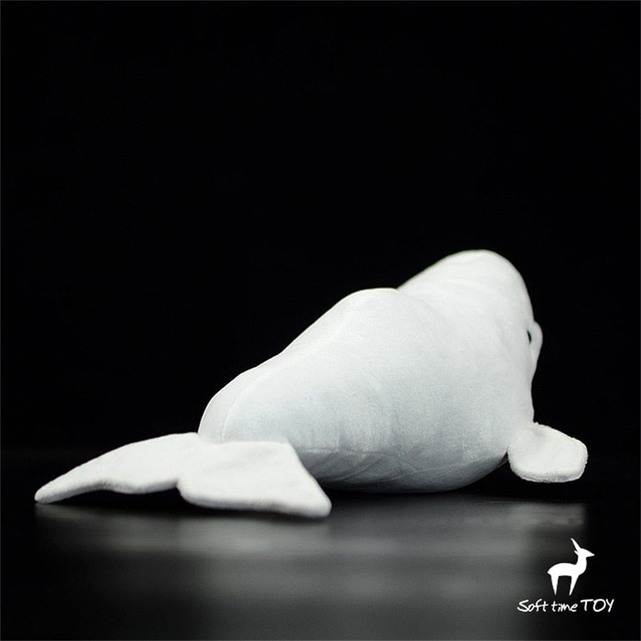petite-baleine