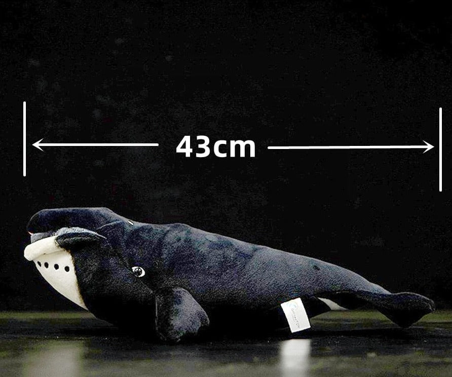 baleine-noir