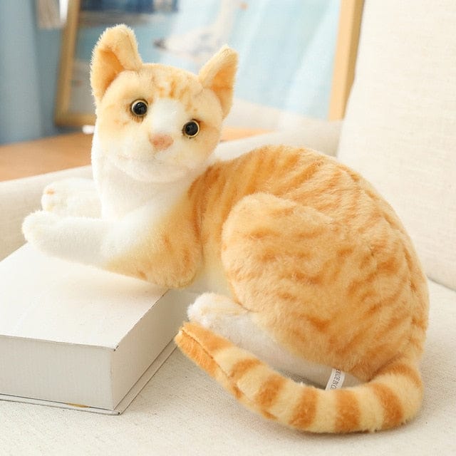 chat-siamois-roux