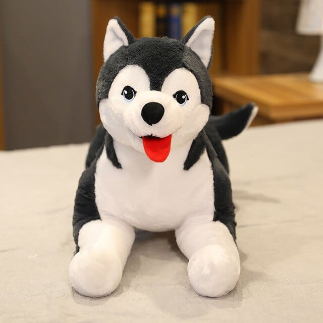 peluche-geante-chien-husky
