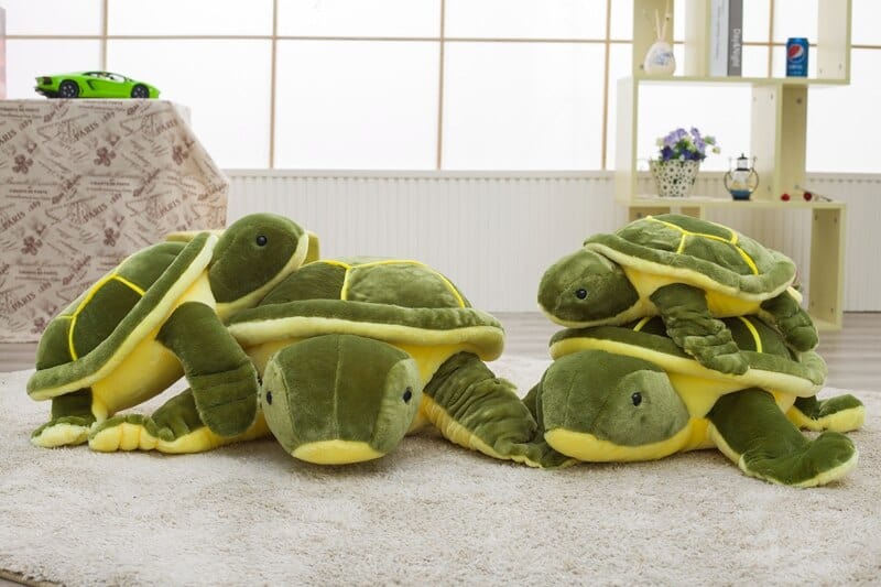 tortue-de-terre