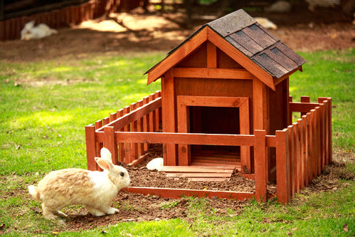 quel-doudou-pour-un-lapin